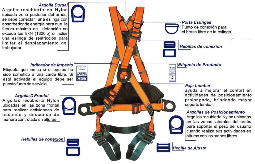 Detalle técnico del arnés